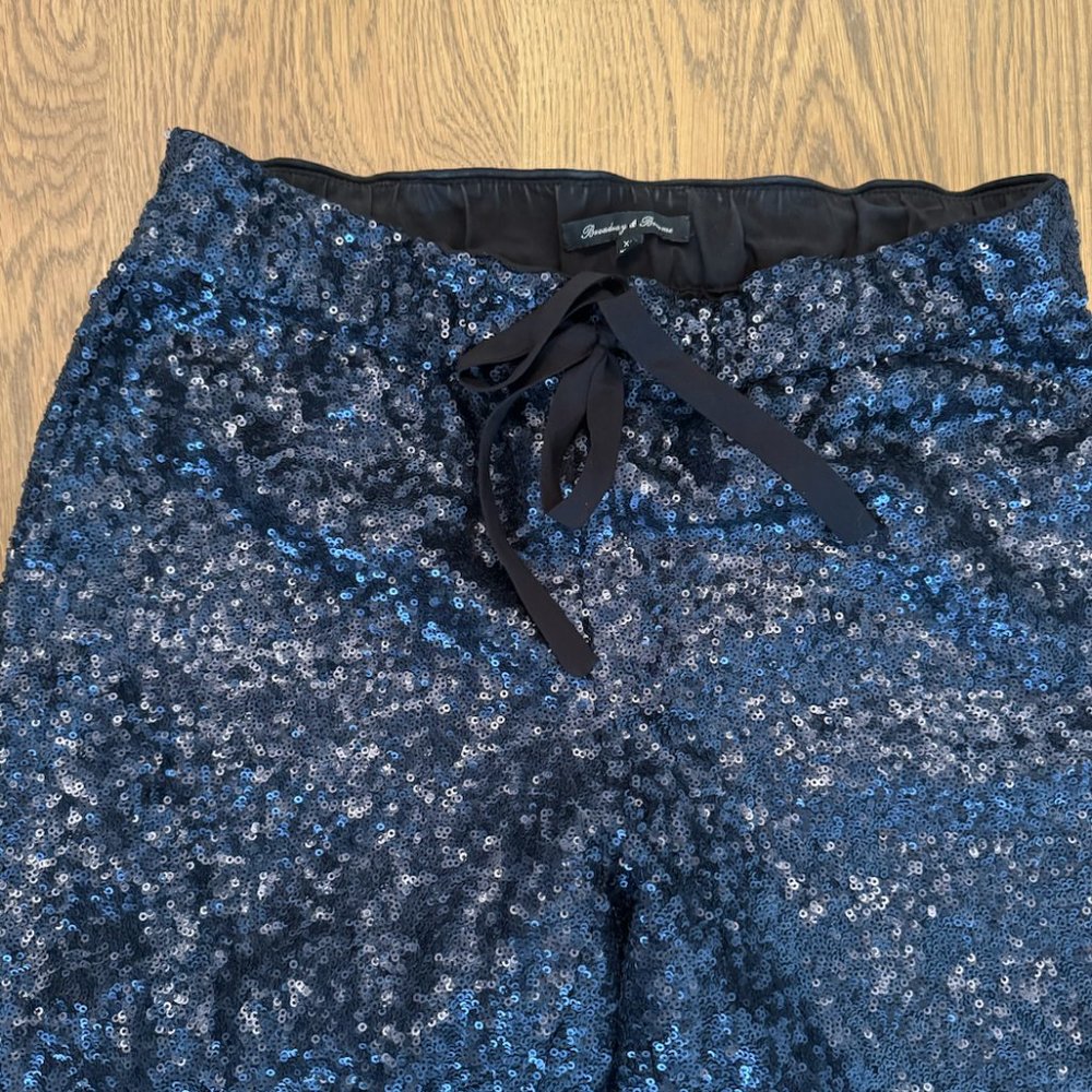 Vintage Madewell Navy Sequence Pants